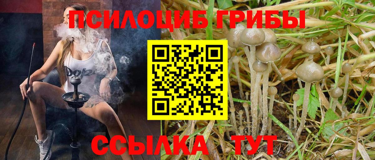 Псилоцибиновые грибы MAGIC MUSHROOMS Рубцовск