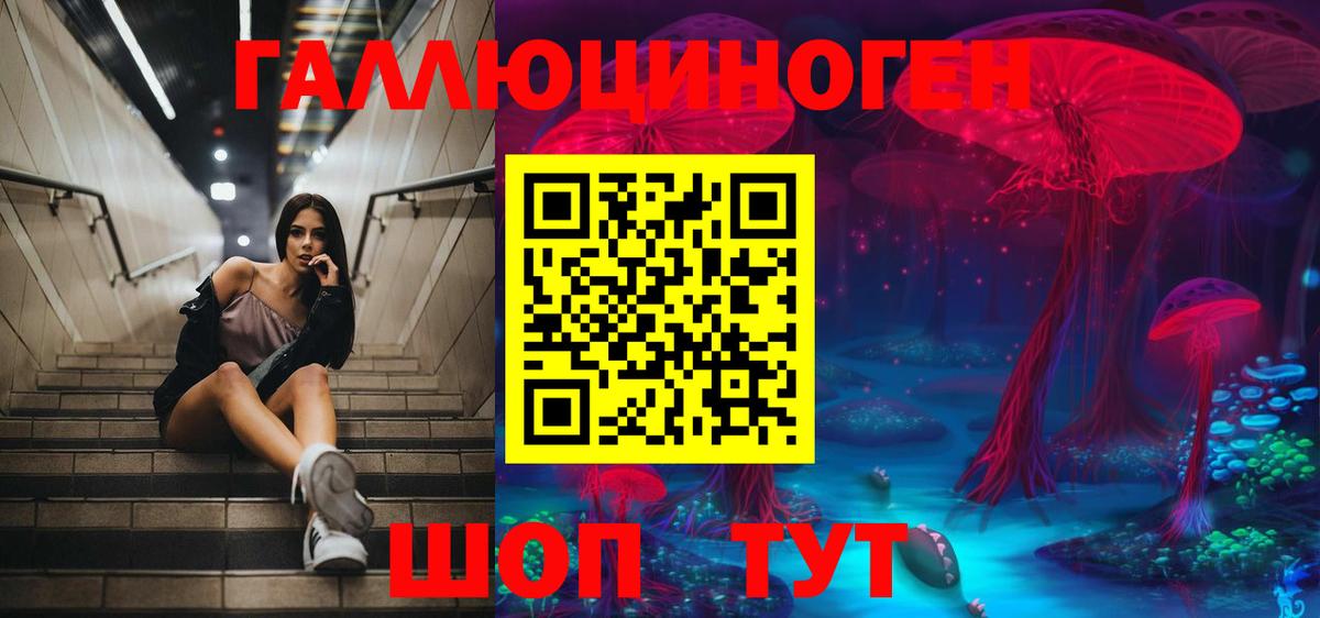 Псилоцибиновые грибы Psilocybine cubensis  Вход с VPN  Рубцовск 